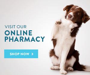 Online Pharmacy through Vet's First Choice, Shop now!