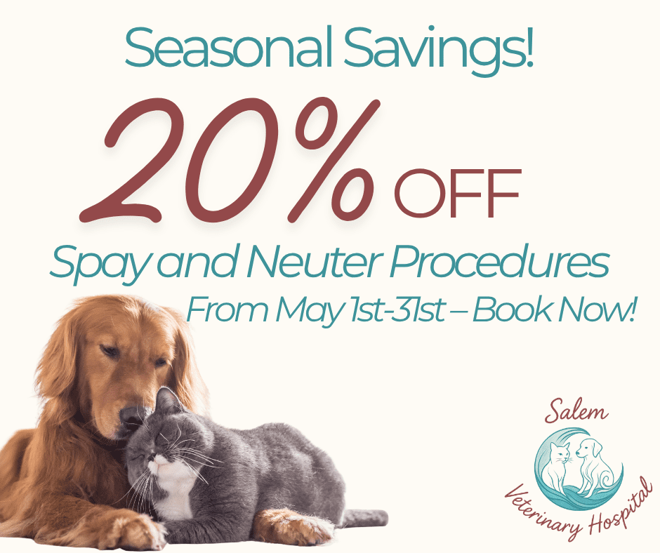 Salem Veterinary Hospital Savings Event (1)