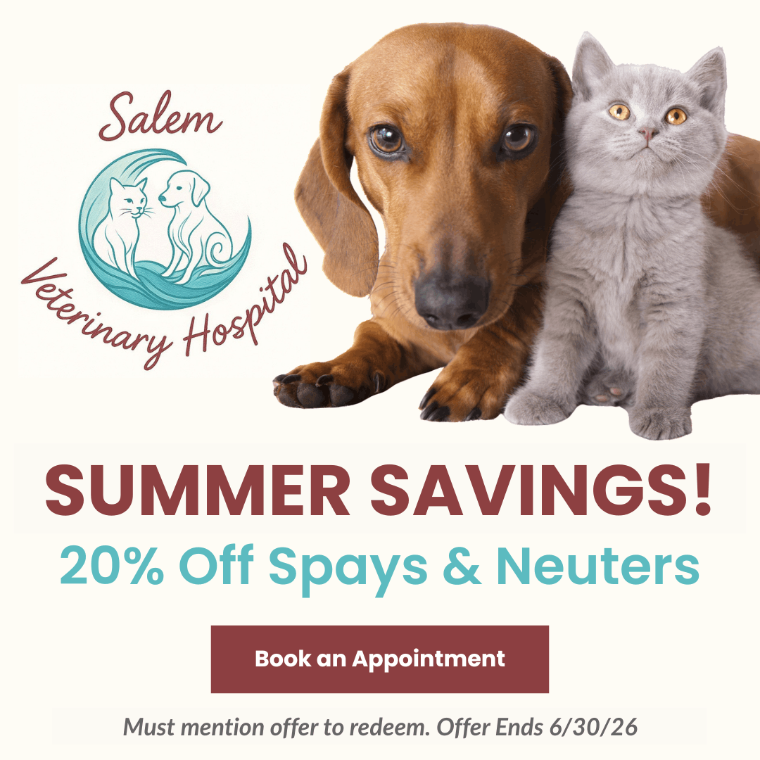 Spay Neuter Popup