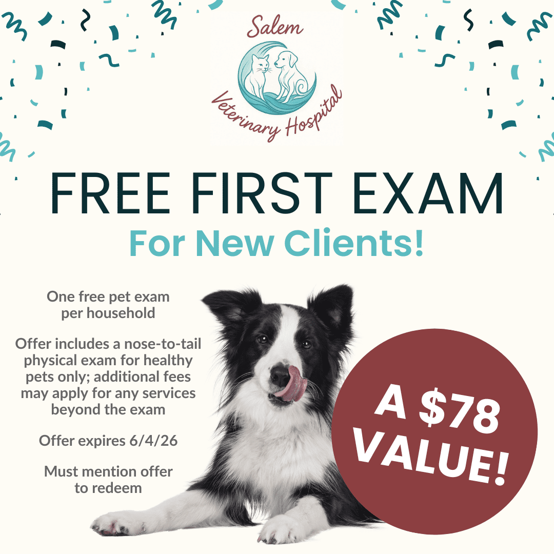 Salem Veterinary Hospital Meta Ad 1080x1080