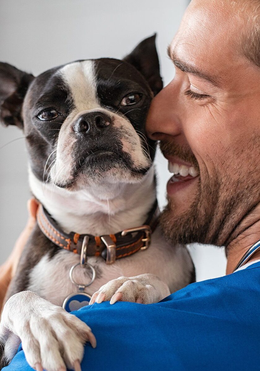 male veterinarian smiling while holding and cuddling small black and white dog