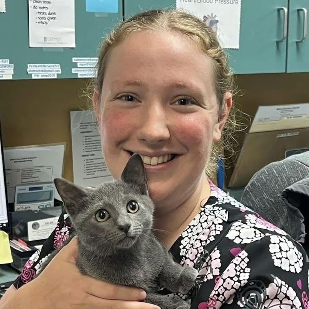 technician holding a small gray cat and smiling for the camera